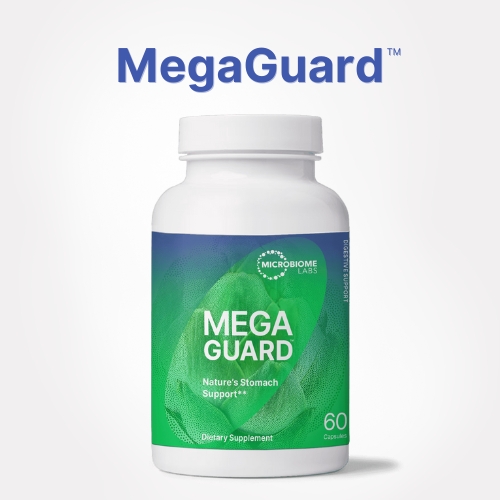 MegaIG 2000