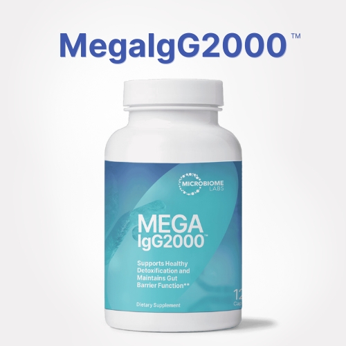 MegaIG 2000