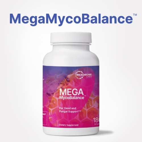 MegaIG 2000